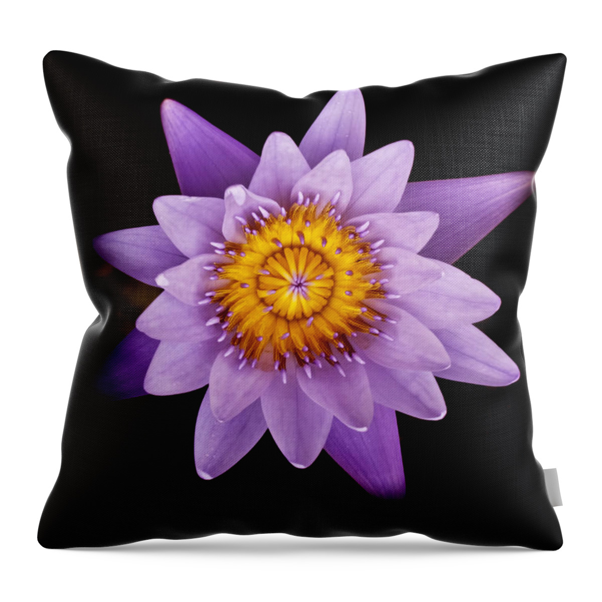 Alone Throw Pillow featuring the photograph Lavender Water Liliy III by Joe Carini - Printscapes