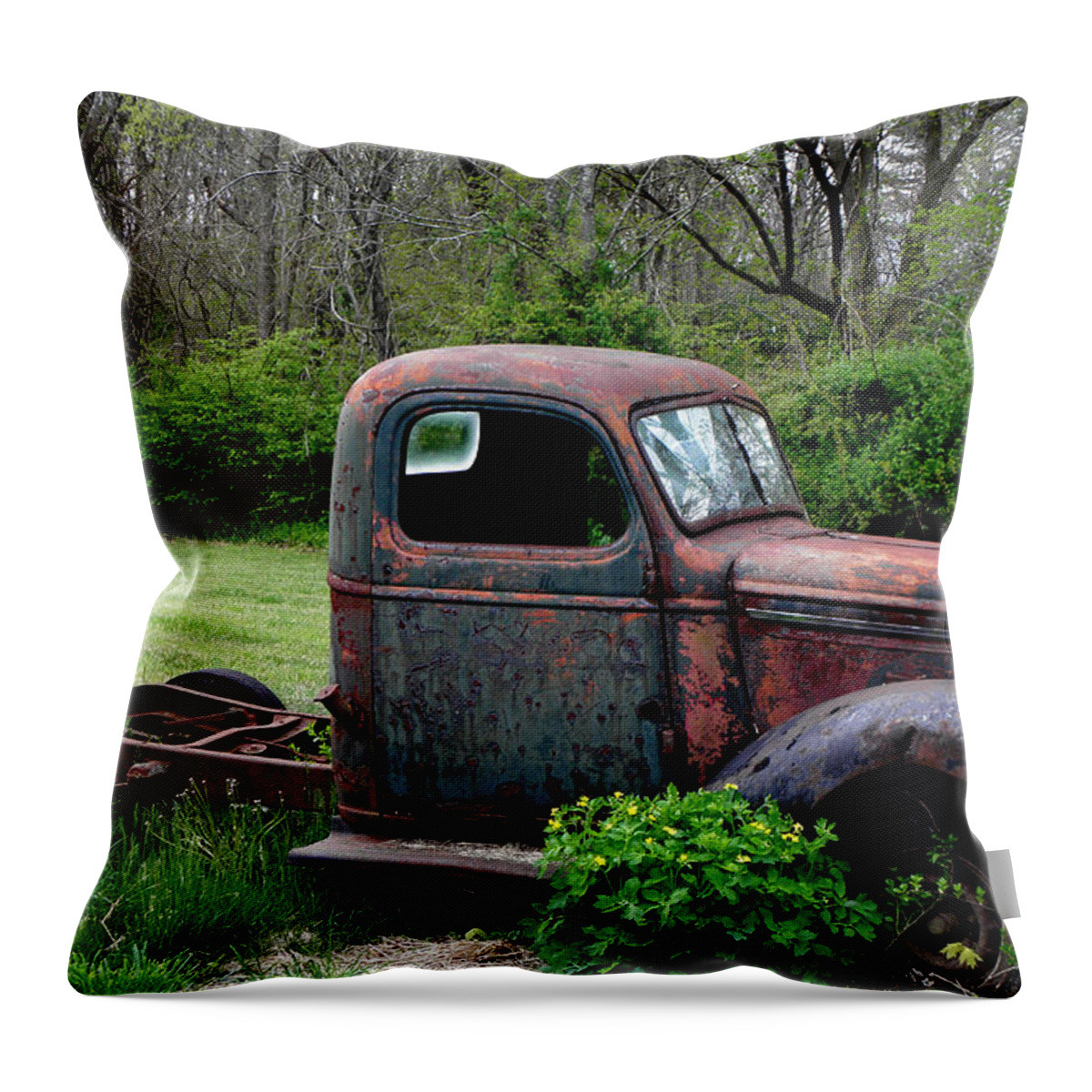 Vintage America Throw Pillow featuring the photograph Lawn Ornament by Kim Galluzzo