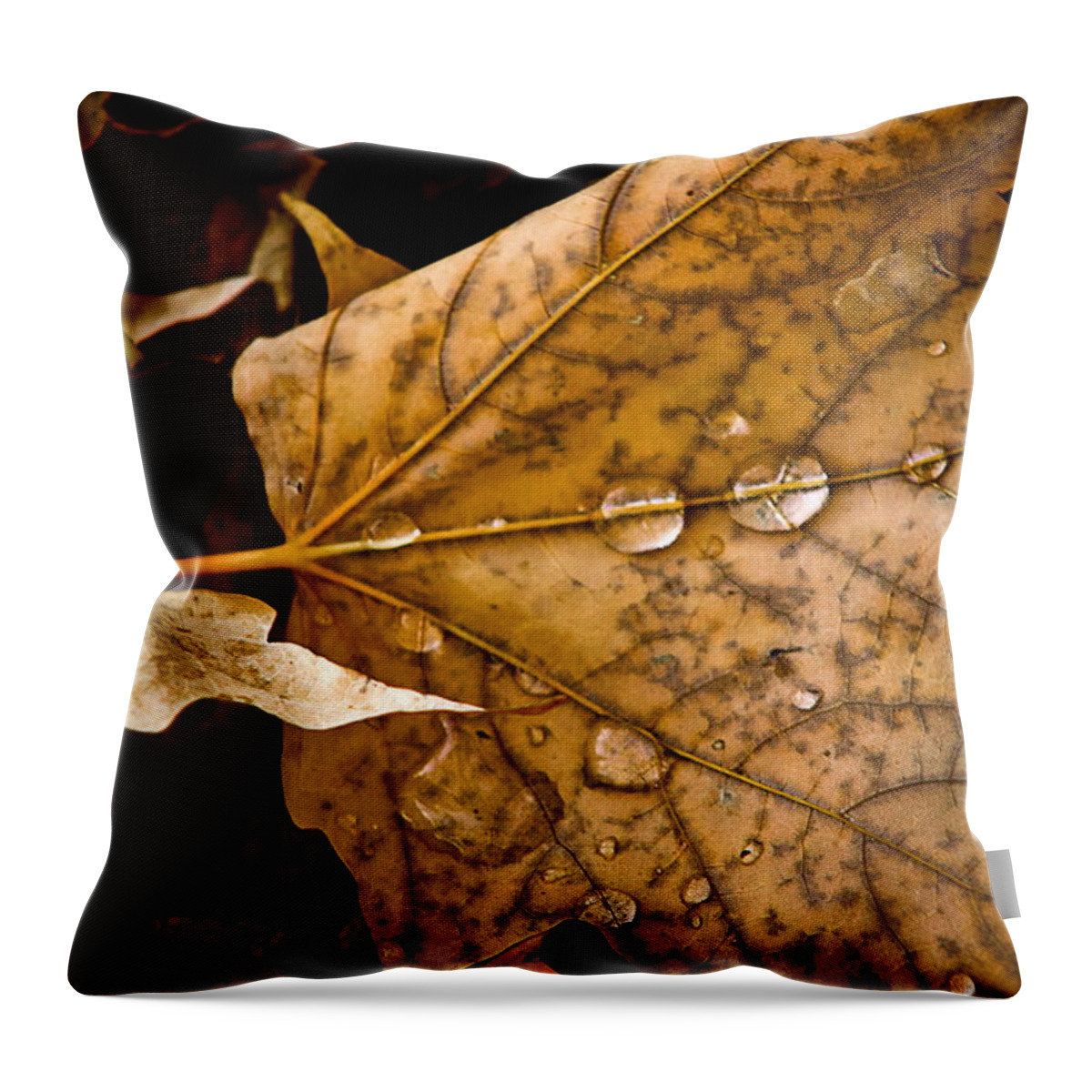 Water On Leaf Throw Pillow featuring the photograph Leaf And Water by Burney Lieberman