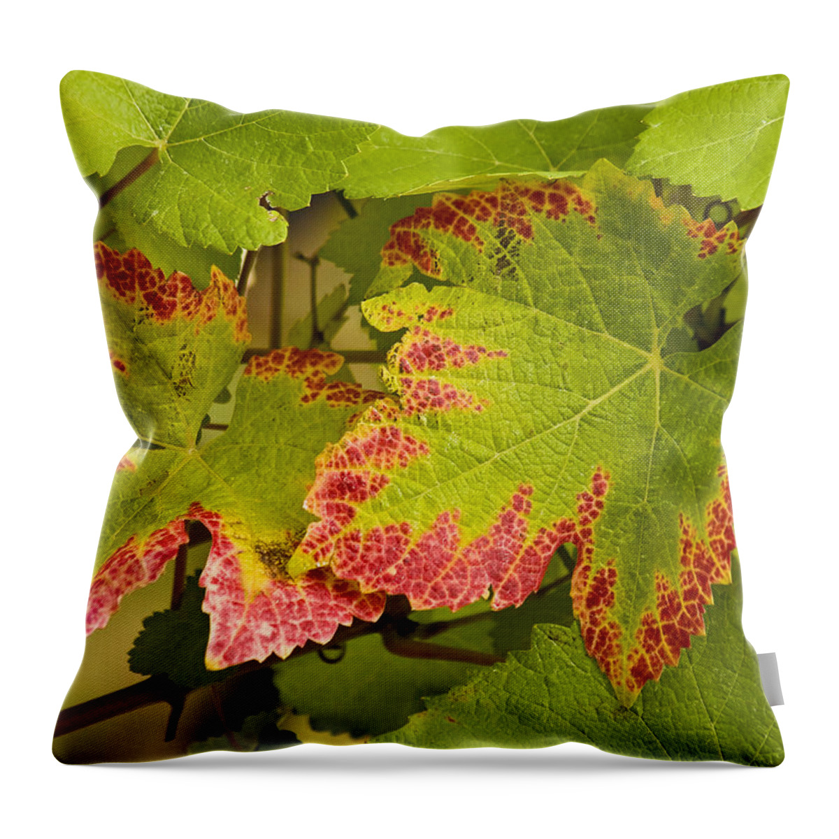 Vineyard Throw Pillow featuring the photograph Leaf Design by Jean Noren
