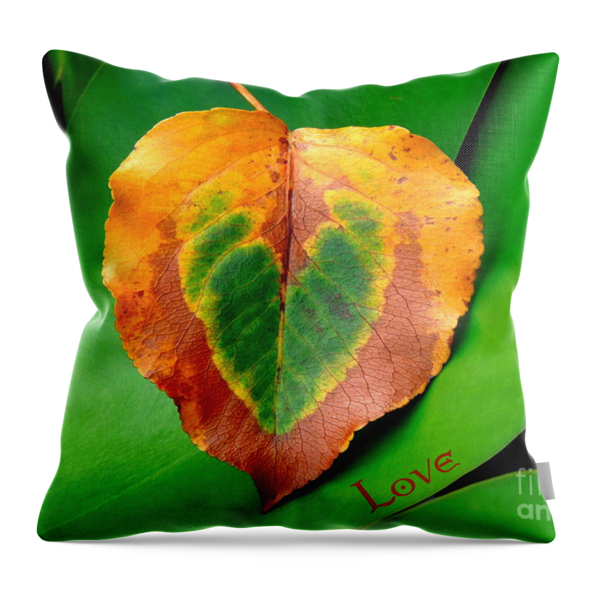 Leaf Throw Pillow featuring the photograph Leaf Leaf Heart Love by Renee Trenholm