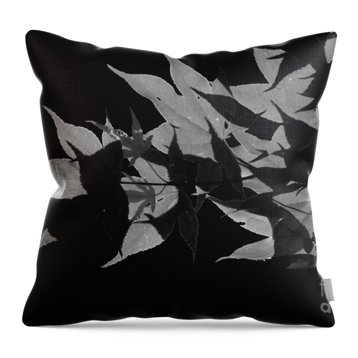 Leaves Throw Pillow featuring the photograph Leaf Shadows by Heather Applegate