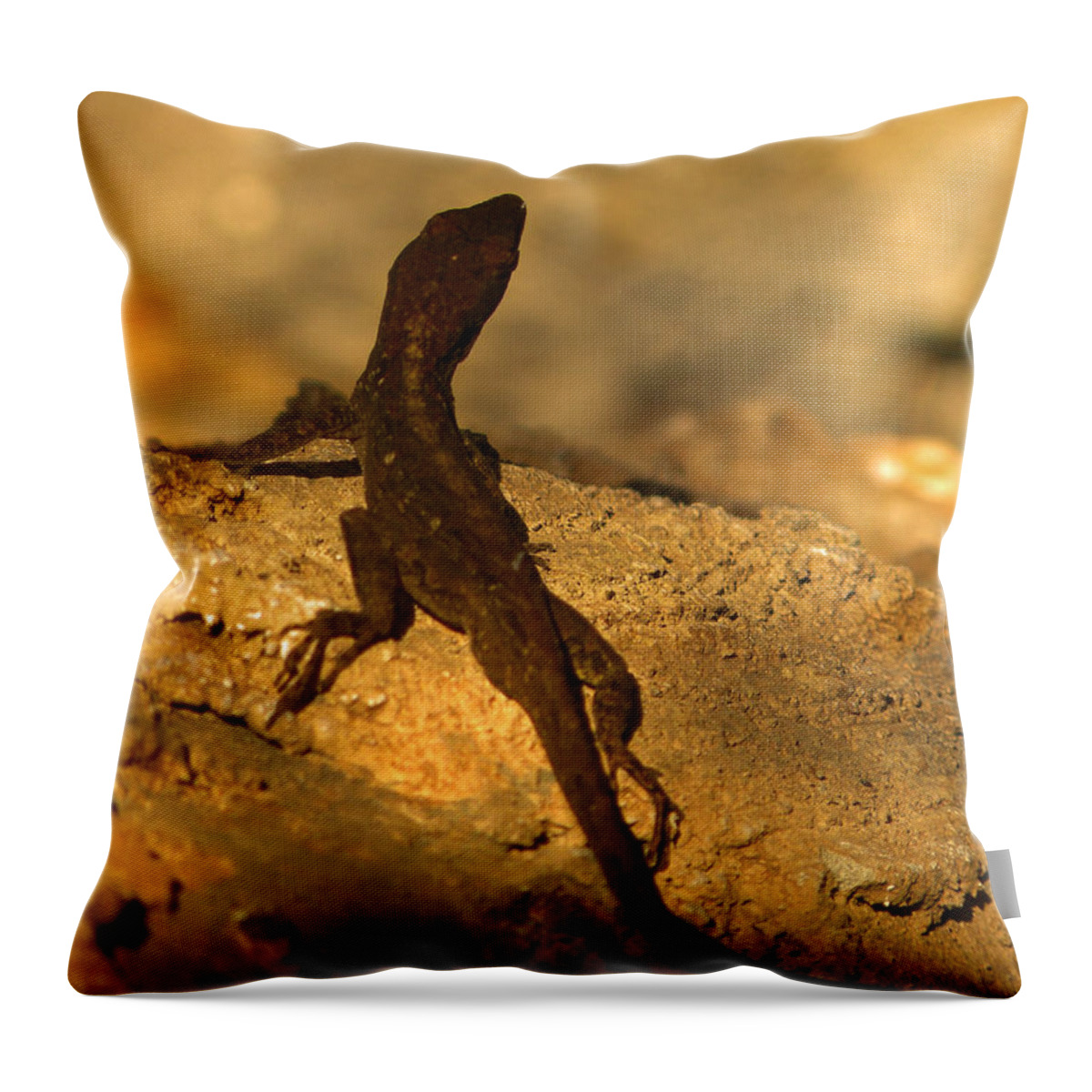 Lizard Throw Pillow featuring the photograph Leapin' Lizards by Trish Tritz