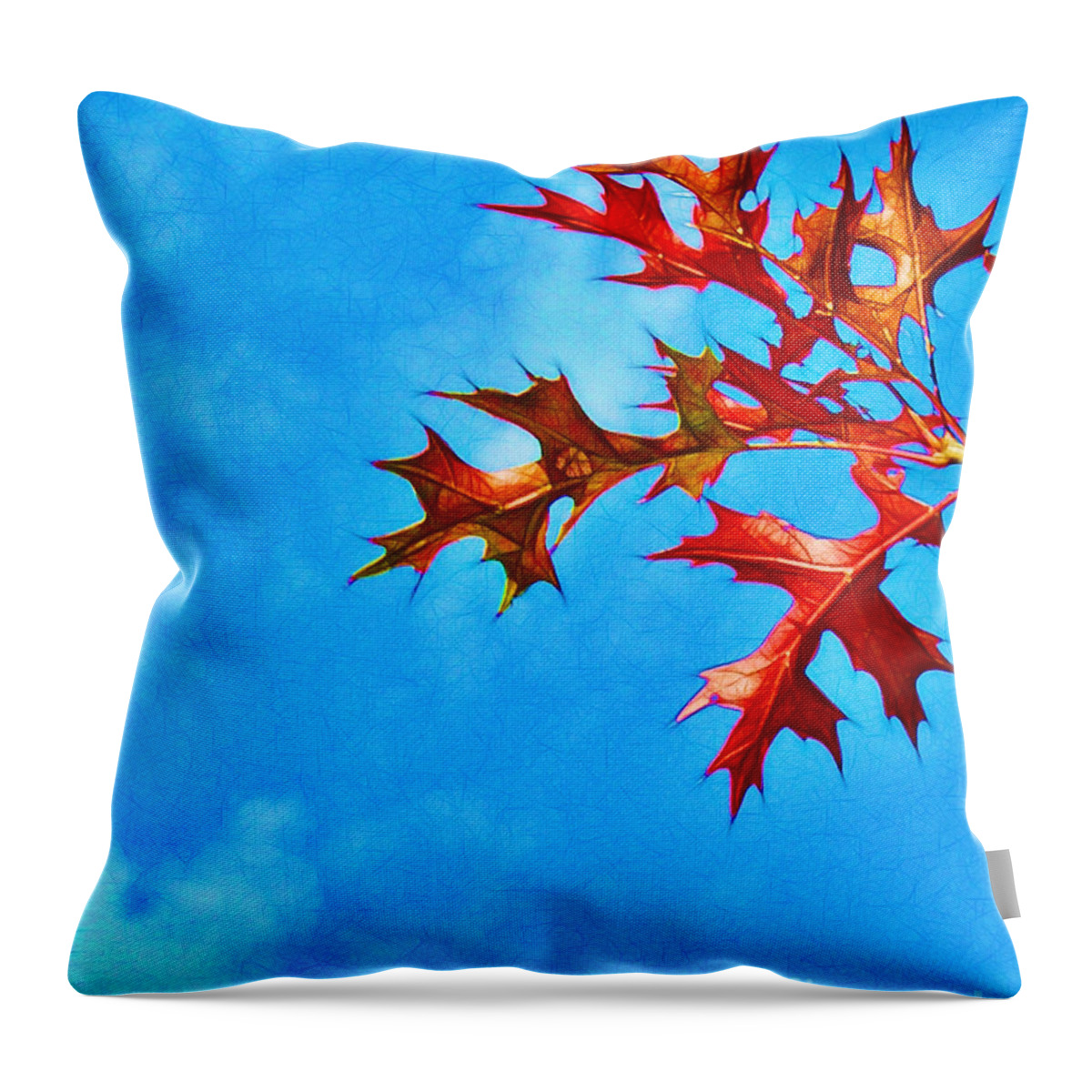 Autumn Throw Pillow featuring the photograph Leaves Against the Sky by Judi Bagwell