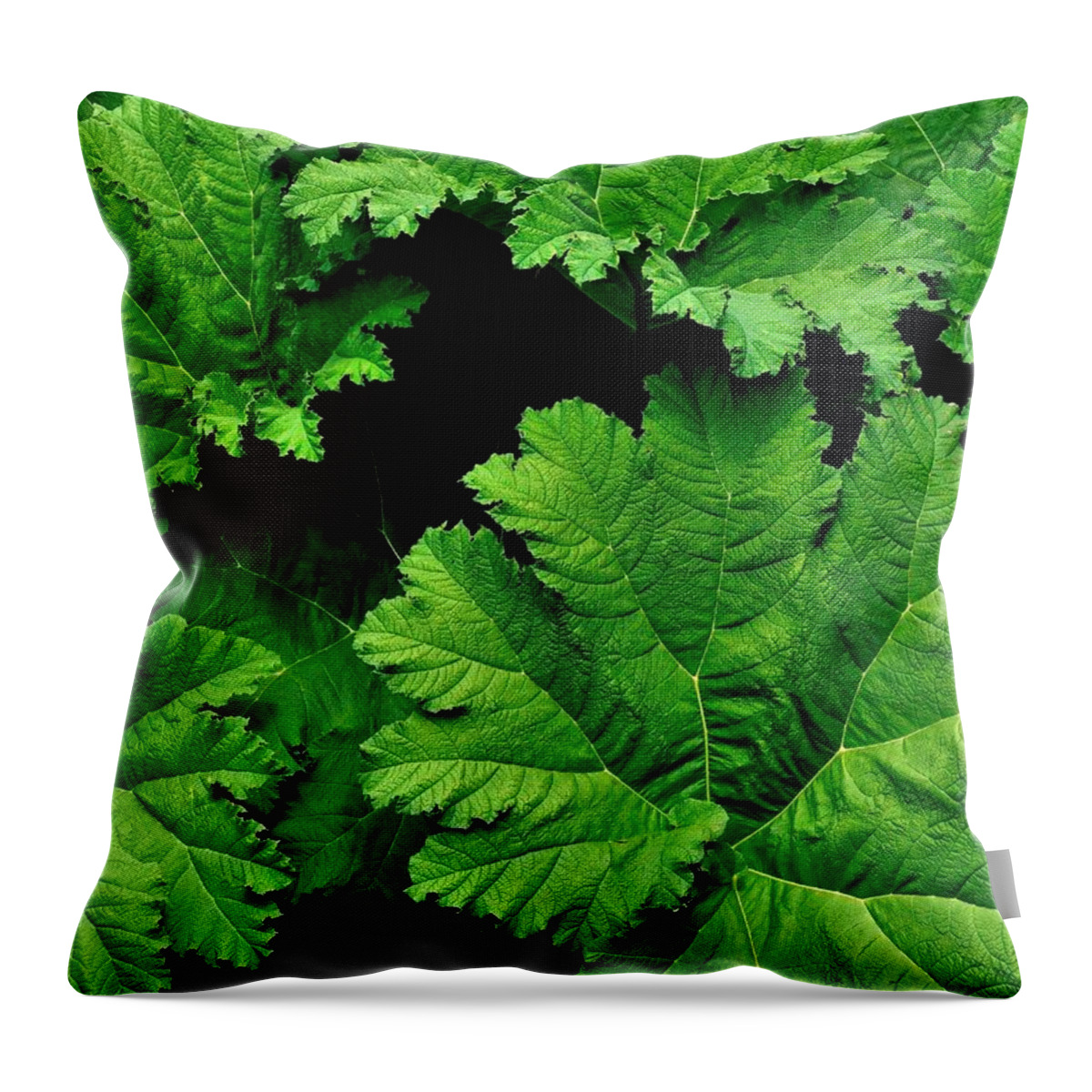 Nature Throw Pillow featuring the photograph Leaves by Kathy King