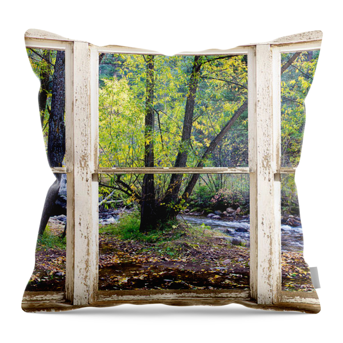 Forest Throw Pillow featuring the photograph Left Hand Creek Rustic Window View Colorado by James BO Insogna