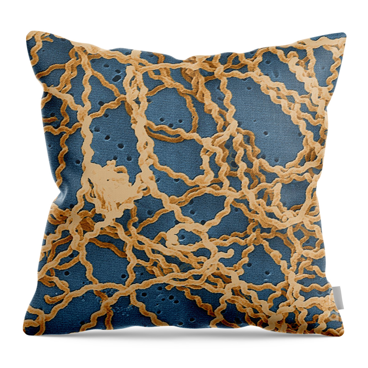 Spirochete Throw Pillow featuring the photograph Leptospira by Science Source
