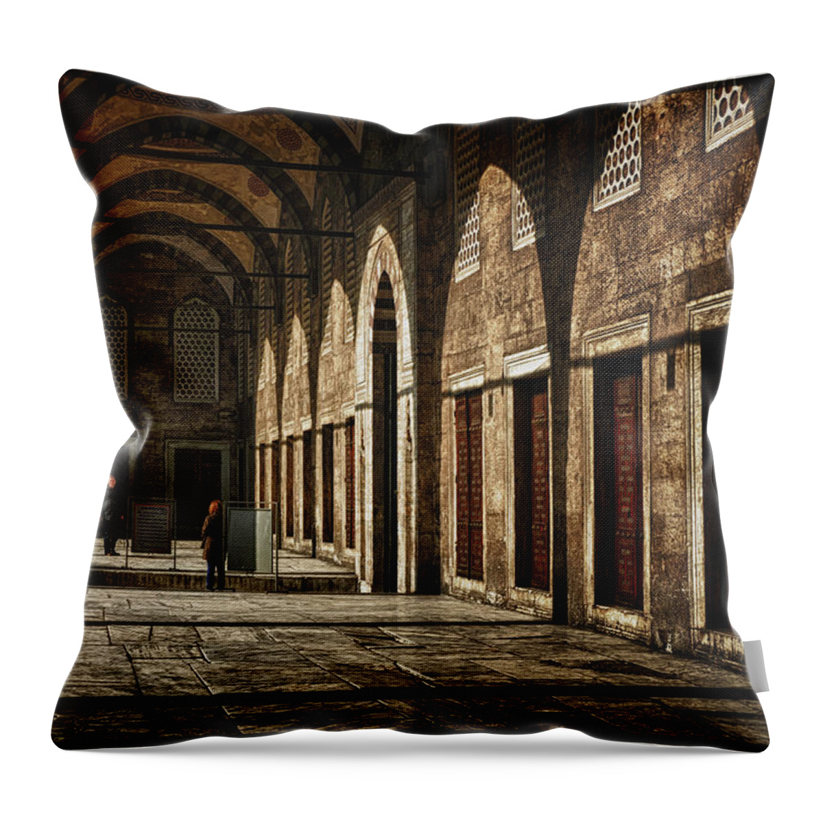 Light Throw Pillow featuring the photograph Light and Shadow by Joan Carroll