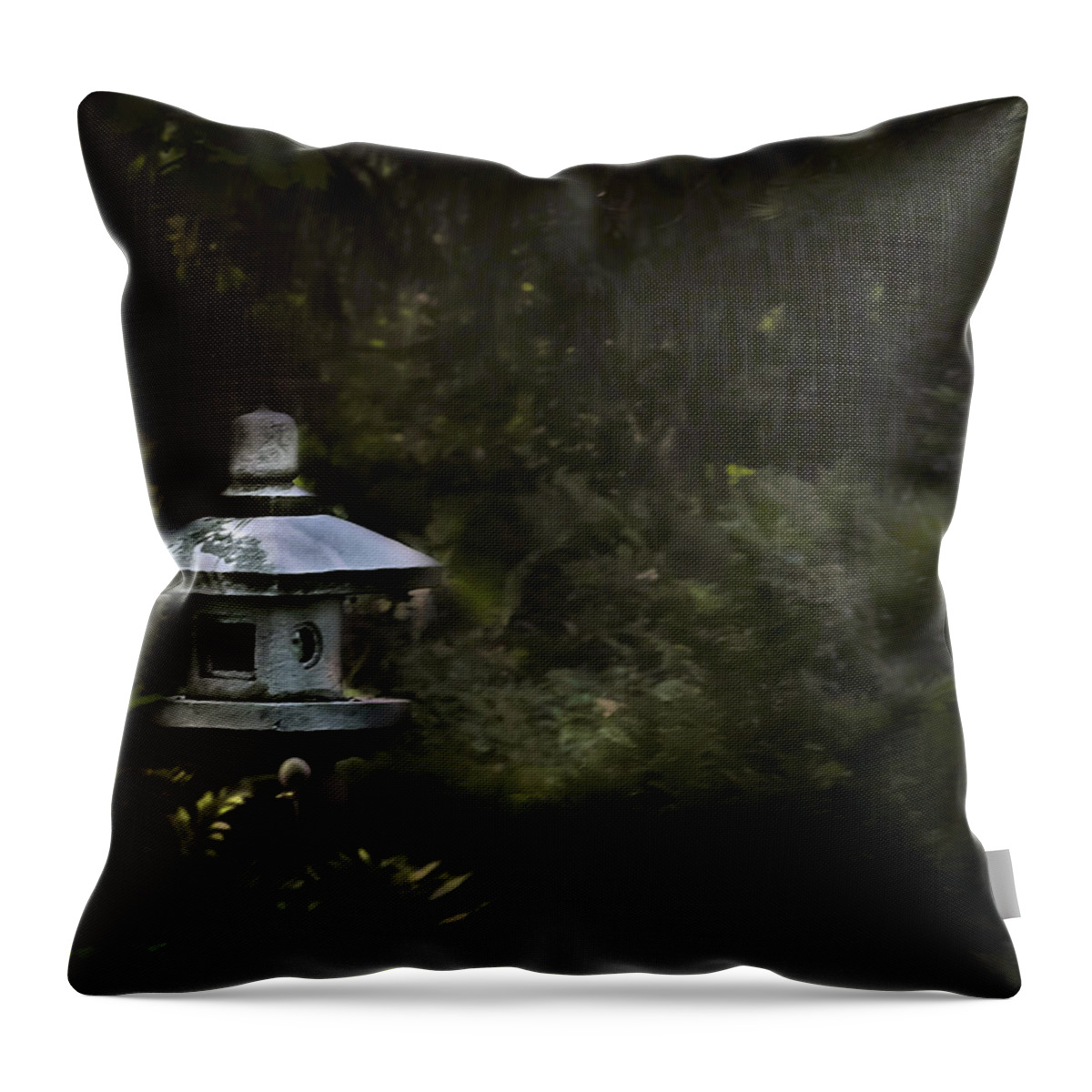 Light Throw Pillow featuring the photograph Light and Tranquility by Robin Webster