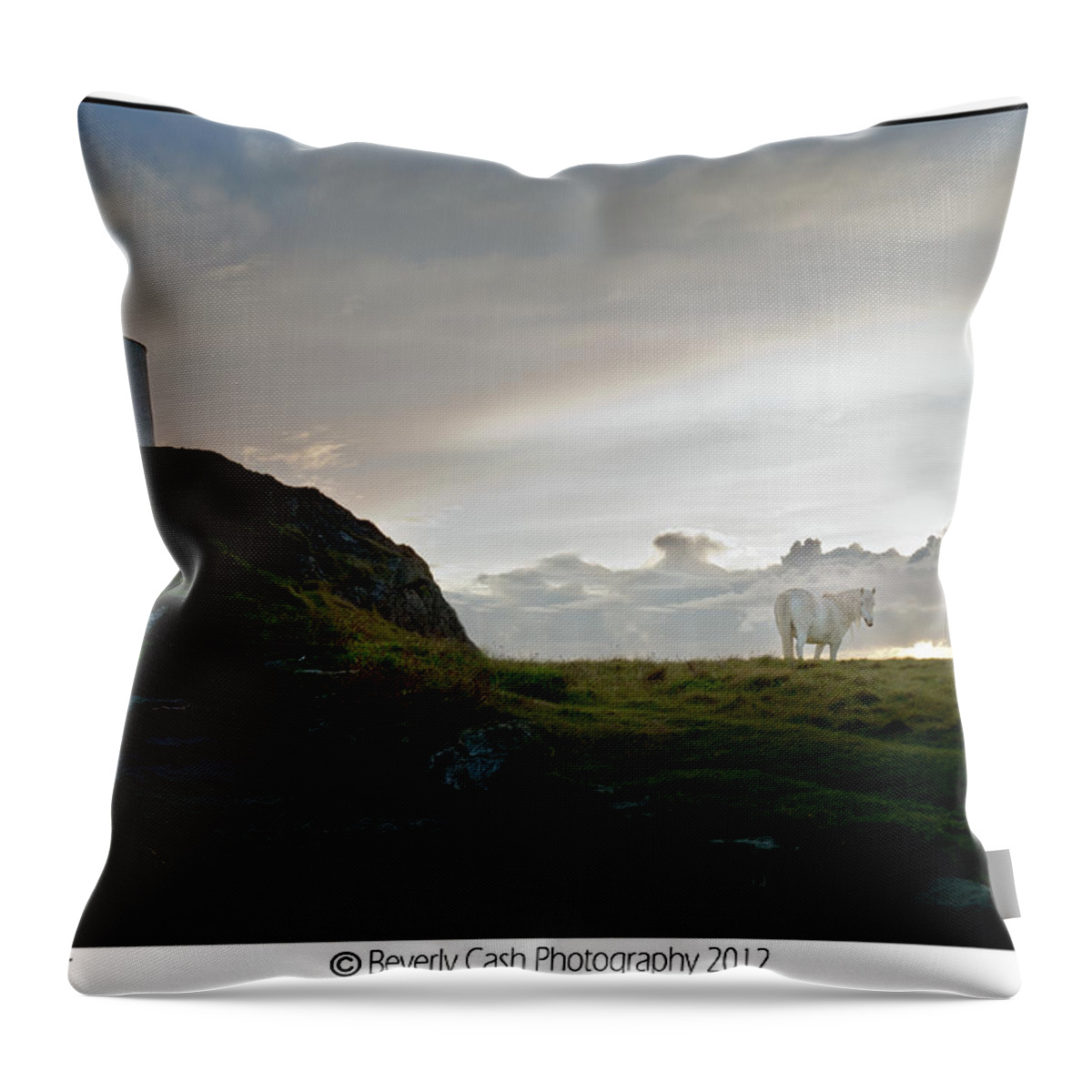 Lighthouse Throw Pillow featuring the photograph Lighthouse and Horse by B Cash