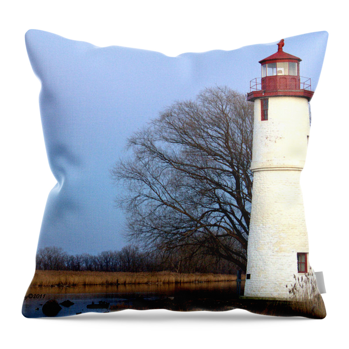 Lighthouse Throw Pillow featuring the photograph Lighthouse Cove by Jale Fancey