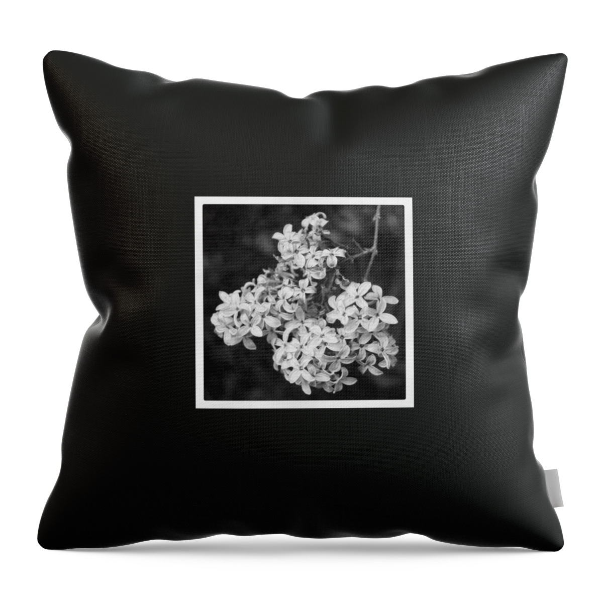 Lilac Throw Pillow featuring the photograph Lilac Branch in BW by Justin Connor