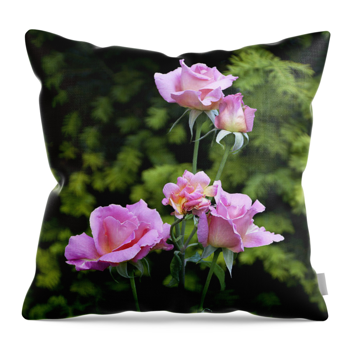 Rose Throw Pillow featuring the photograph Lilac roses by Raffaella Lunelli