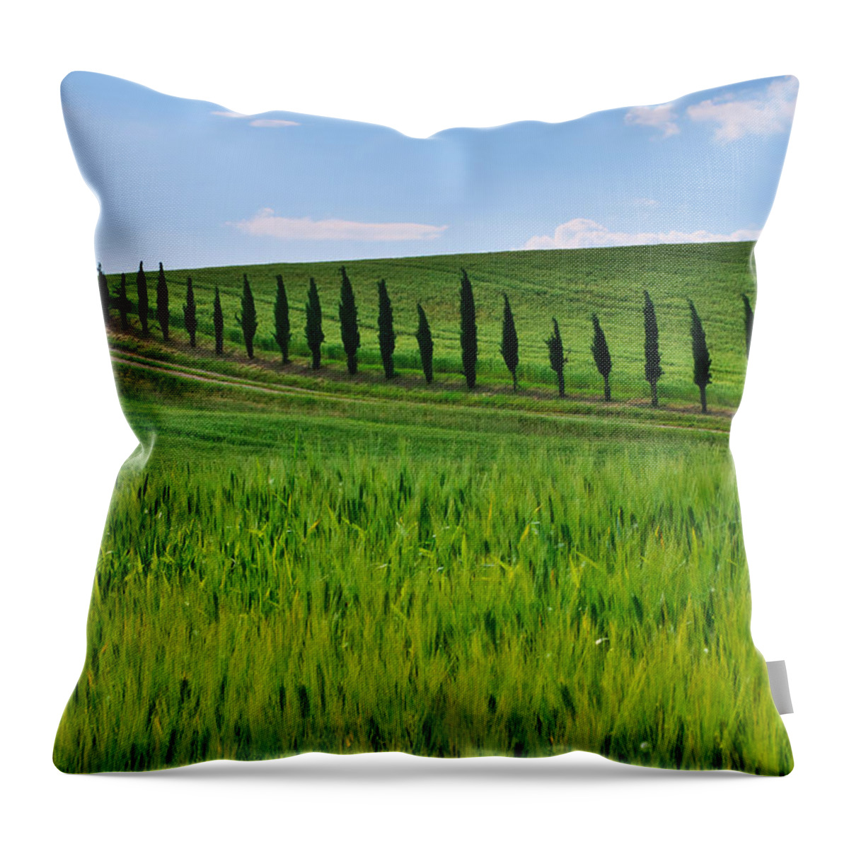 Tuscany Throw Pillow featuring the photograph Lined up by Ivan Slosar