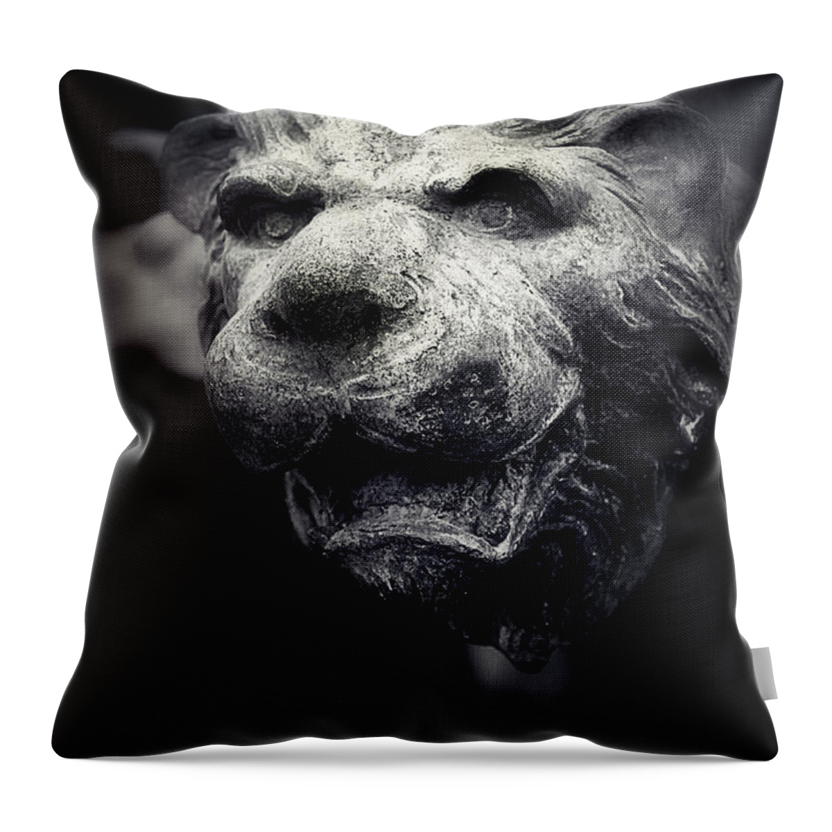 Lion Throw Pillow featuring the photograph Lions head 2 by Perry Webster