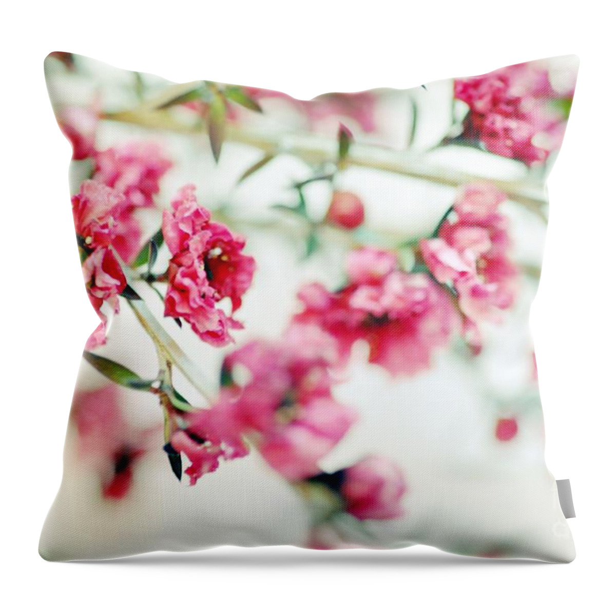 Pink Throw Pillow featuring the photograph Little Dreams on Stems by Lisa Argyropoulos