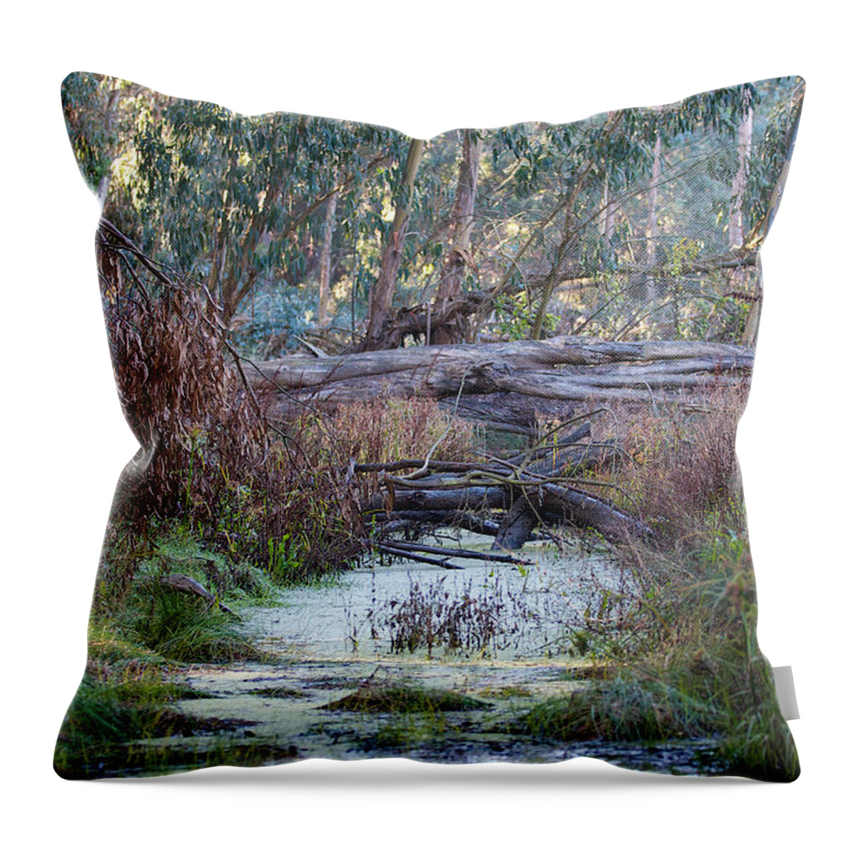 Fine Art Photographs Throw Pillow featuring the photograph Little Swampy Creek by Brooke Roby