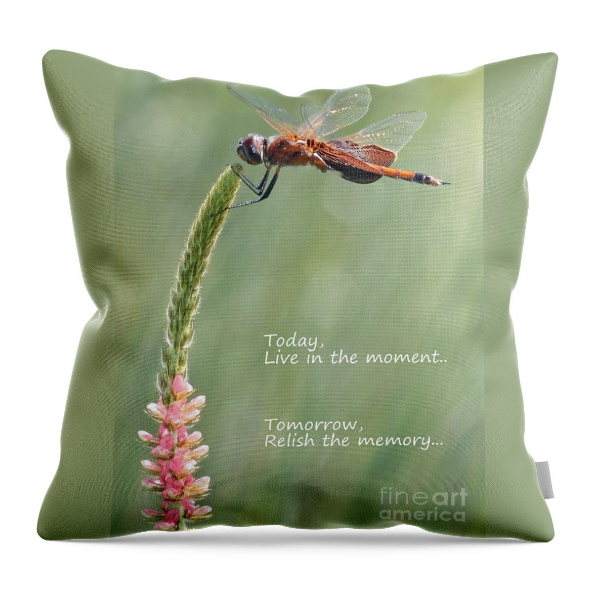Greeting Card Throw Pillow featuring the photograph Live in the Moment by Carol Groenen