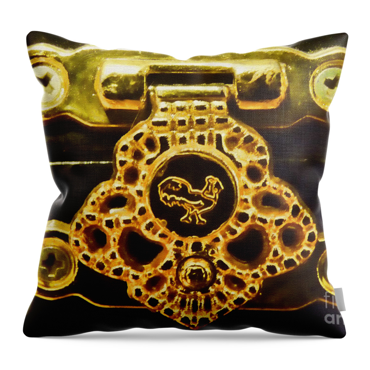 Lock Throw Pillow featuring the photograph Lock me up by Nora Martinez