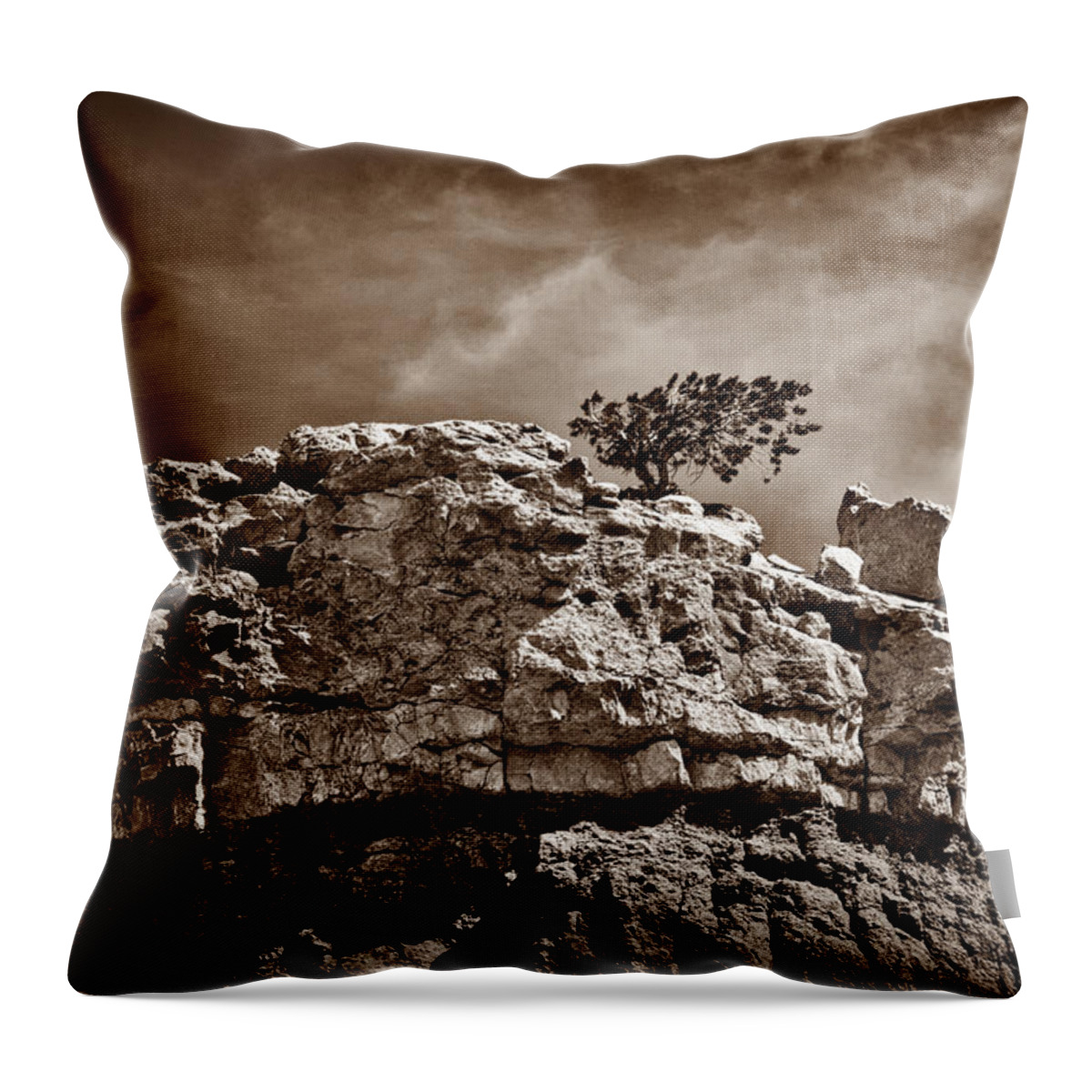 Monochrome Throw Pillow featuring the photograph Lofty Solitude - Sepia by Christopher Holmes