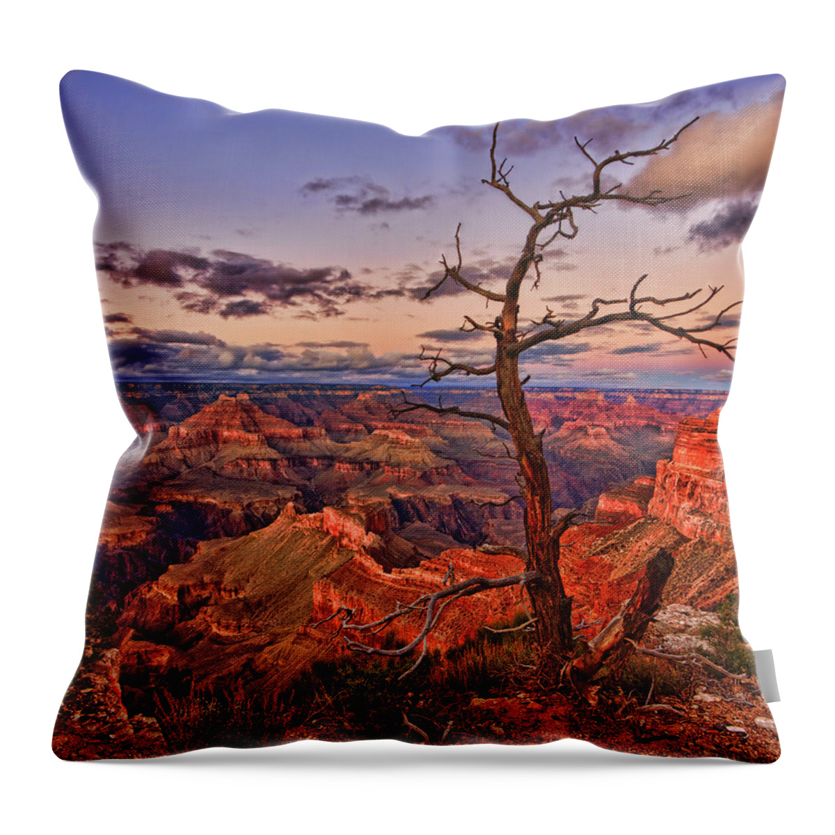 Grand Canyon Throw Pillow featuring the photograph Lone Observer by Beth Sargent