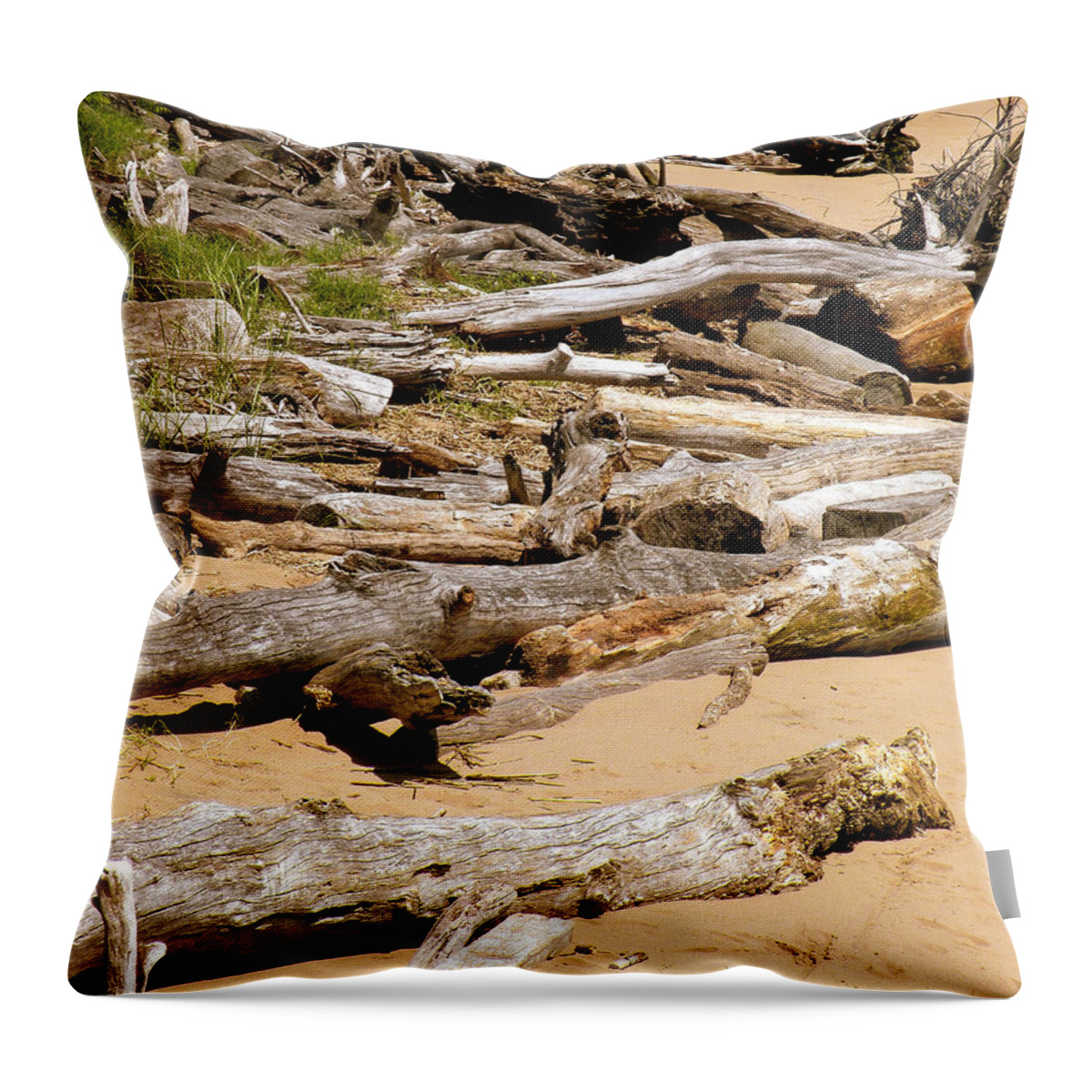 Driftwood Throw Pillow featuring the photograph Lonely Driftwood by Trish Tritz