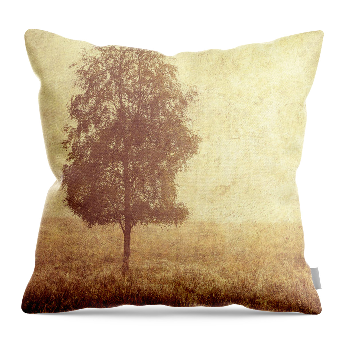Scotland Throw Pillow featuring the photograph Lonely Tree. Trossachs National Park. Scotland by Jenny Rainbow