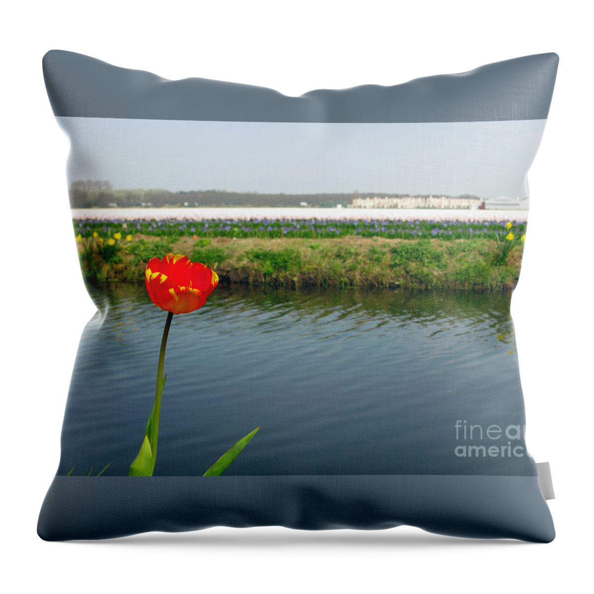 Landscape Throw Pillow featuring the photograph Lonely Tulip by Ausra Huntington nee Paulauskaite
