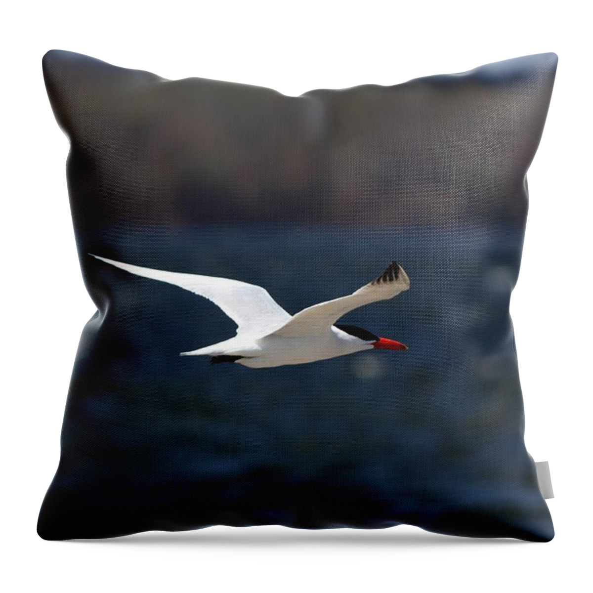 Bird Throw Pillow featuring the photograph Long Haul Flight by Ramabhadran Thirupattur