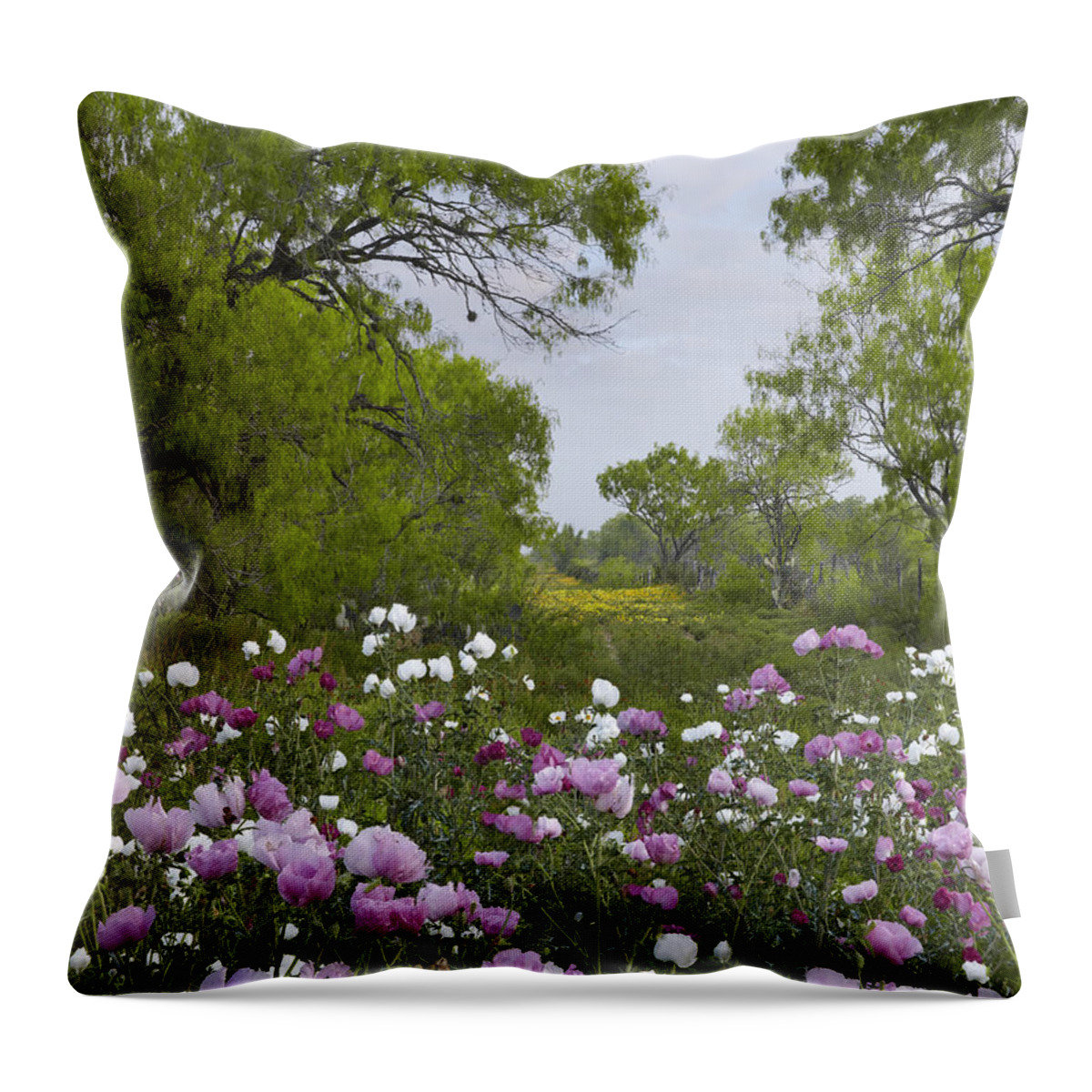 00442656 Throw Pillow featuring the photograph Long Pricklyhead Poppy Field by Tim Fitzharris