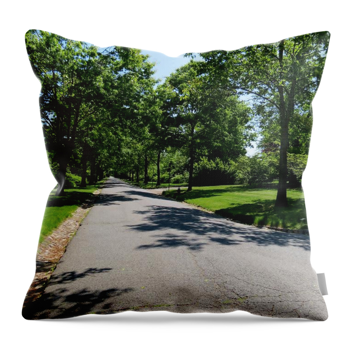 Street Throw Pillow featuring the photograph Long Walk Ahead by Art Dingo