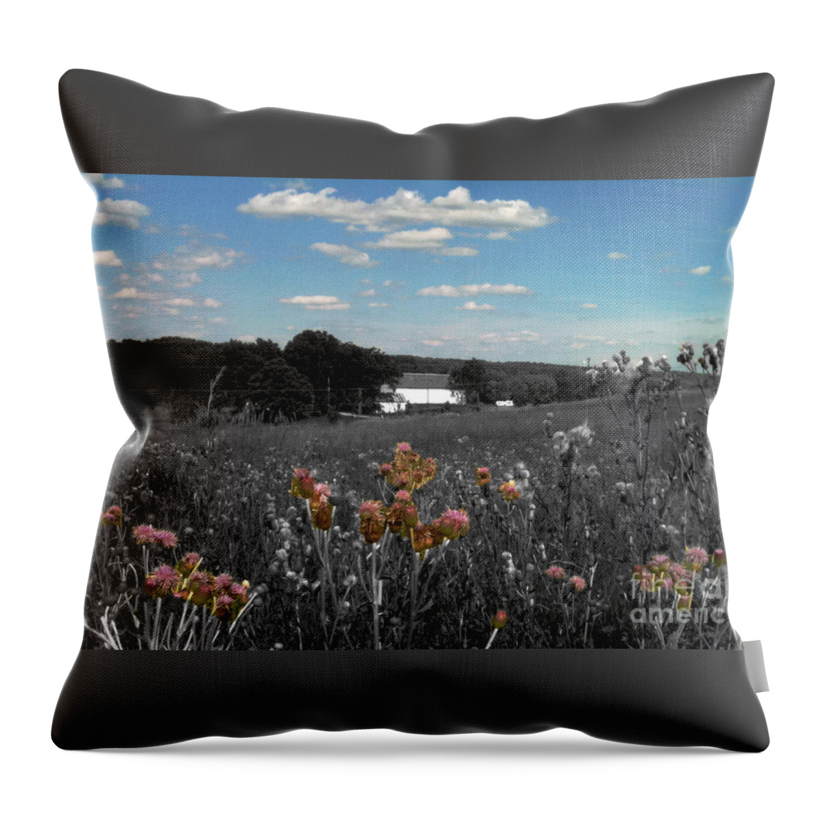 Barns Throw Pillow featuring the photograph Look They Are Blushing by Trish Hale