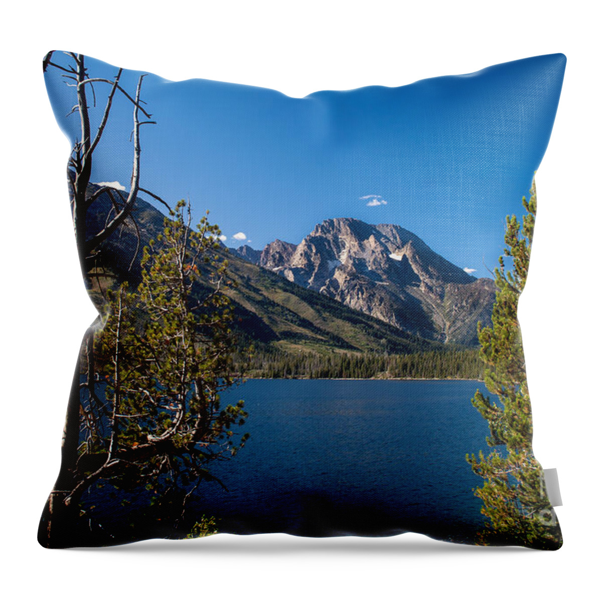 Lake Throw Pillow featuring the photograph Looking Across Jenny Lake by Robert Bales