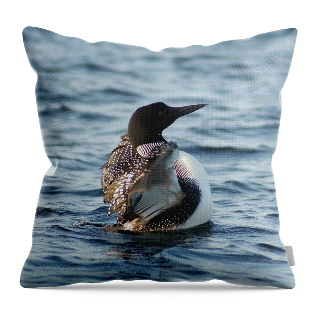 Wildlife Throw Pillow featuring the photograph Loon Dance 1 by Steven Clipperton