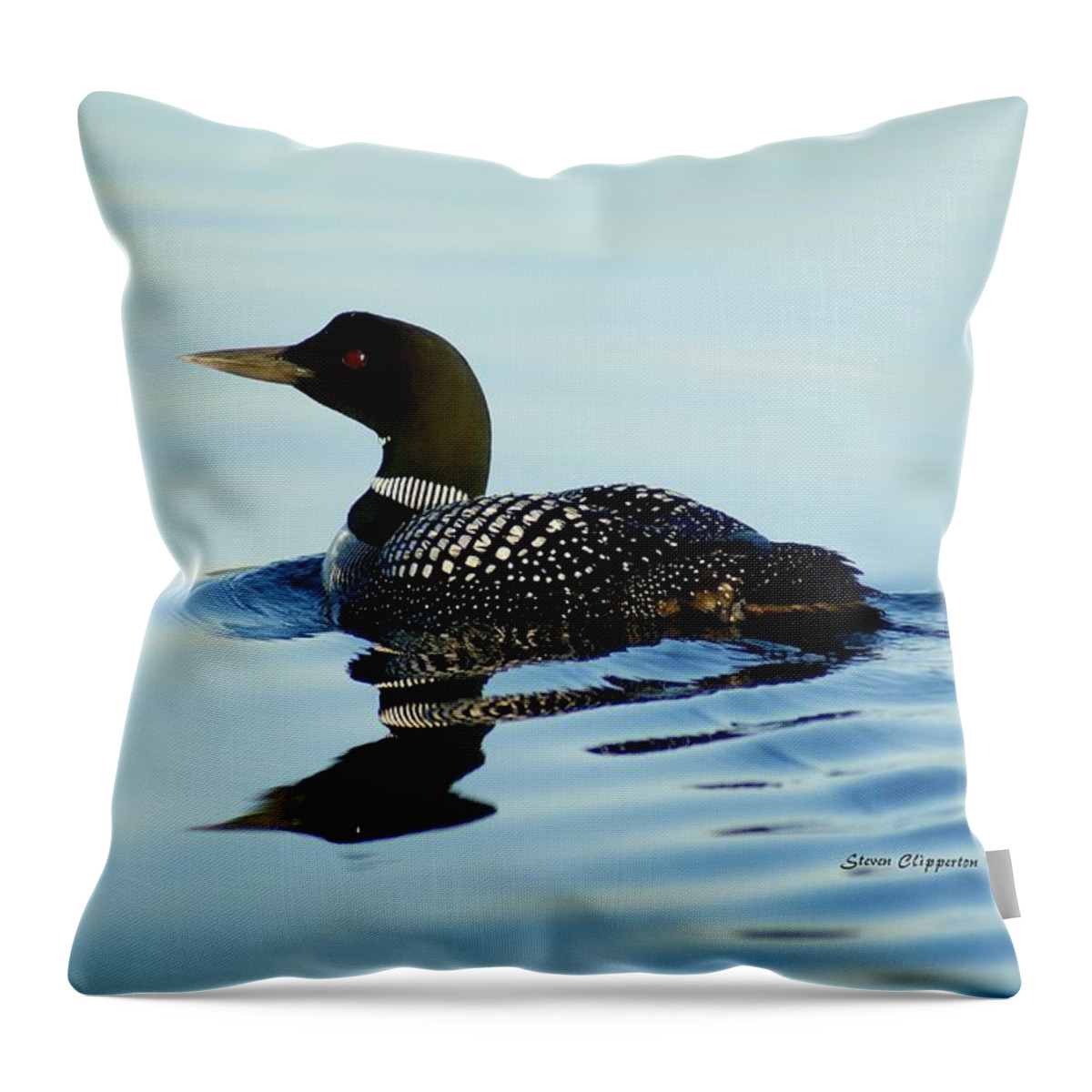 Loon Throw Pillow featuring the photograph Loon by Steven Clipperton