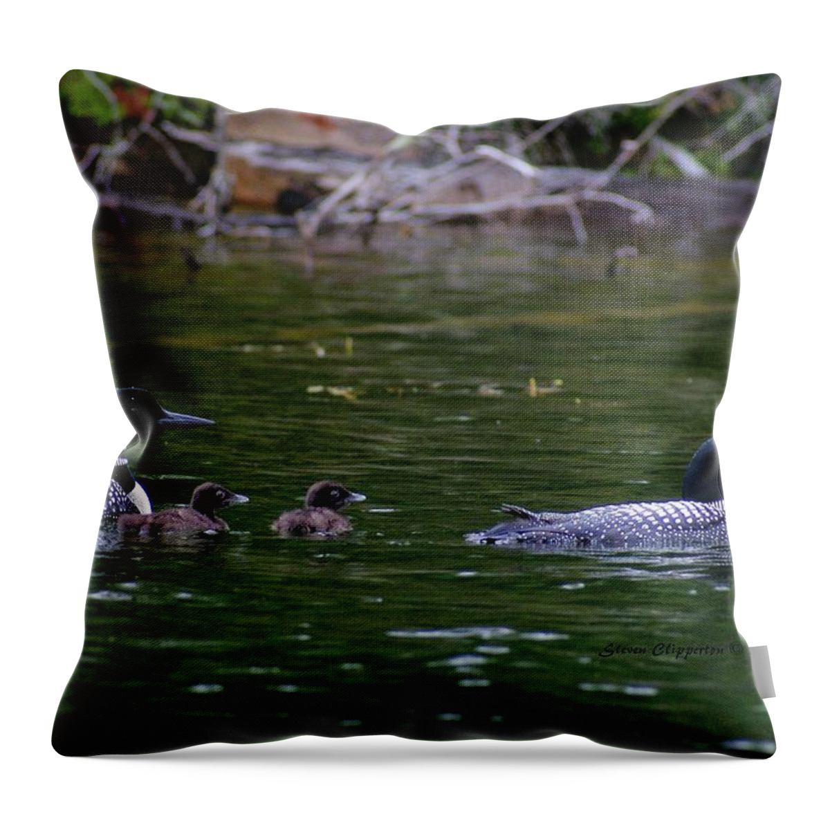 Loons Throw Pillow featuring the photograph Loons with Twins by Steven Clipperton