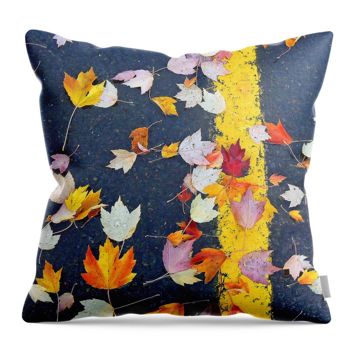 Autumn Throw Pillow featuring the photograph Lot of Color by Pamela Patch