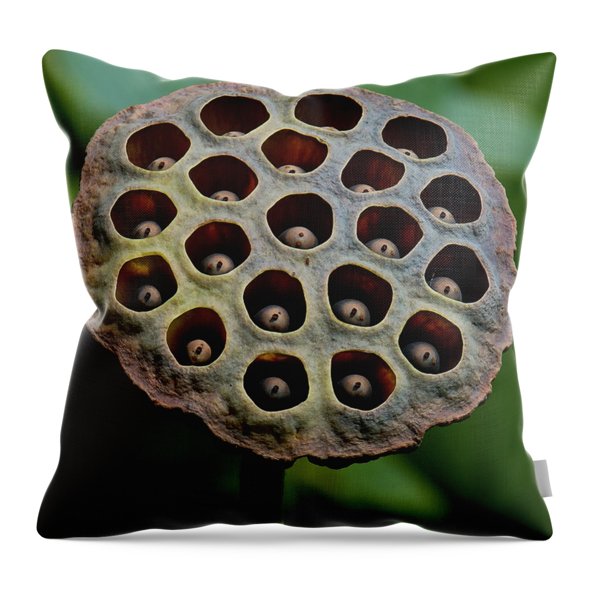Nature Throw Pillow featuring the photograph Lotus Capsule-Timid Fledglings DL053 by Gerry Gantt