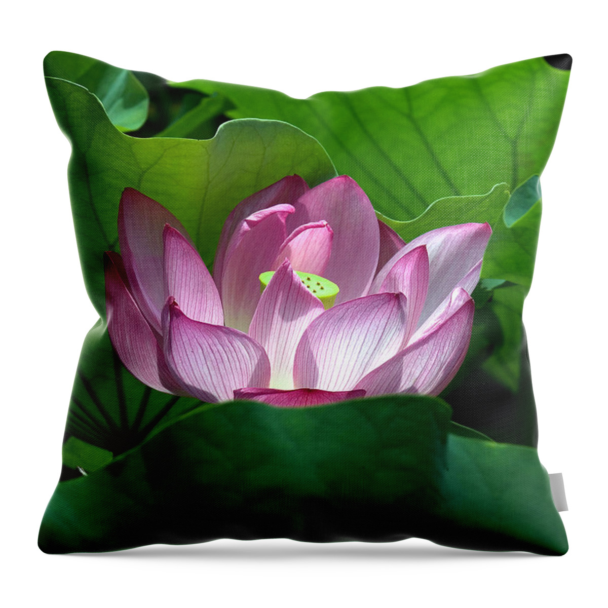 Nature Throw Pillow featuring the photograph Lotus--Peeking Out i DL016 by Gerry Gantt