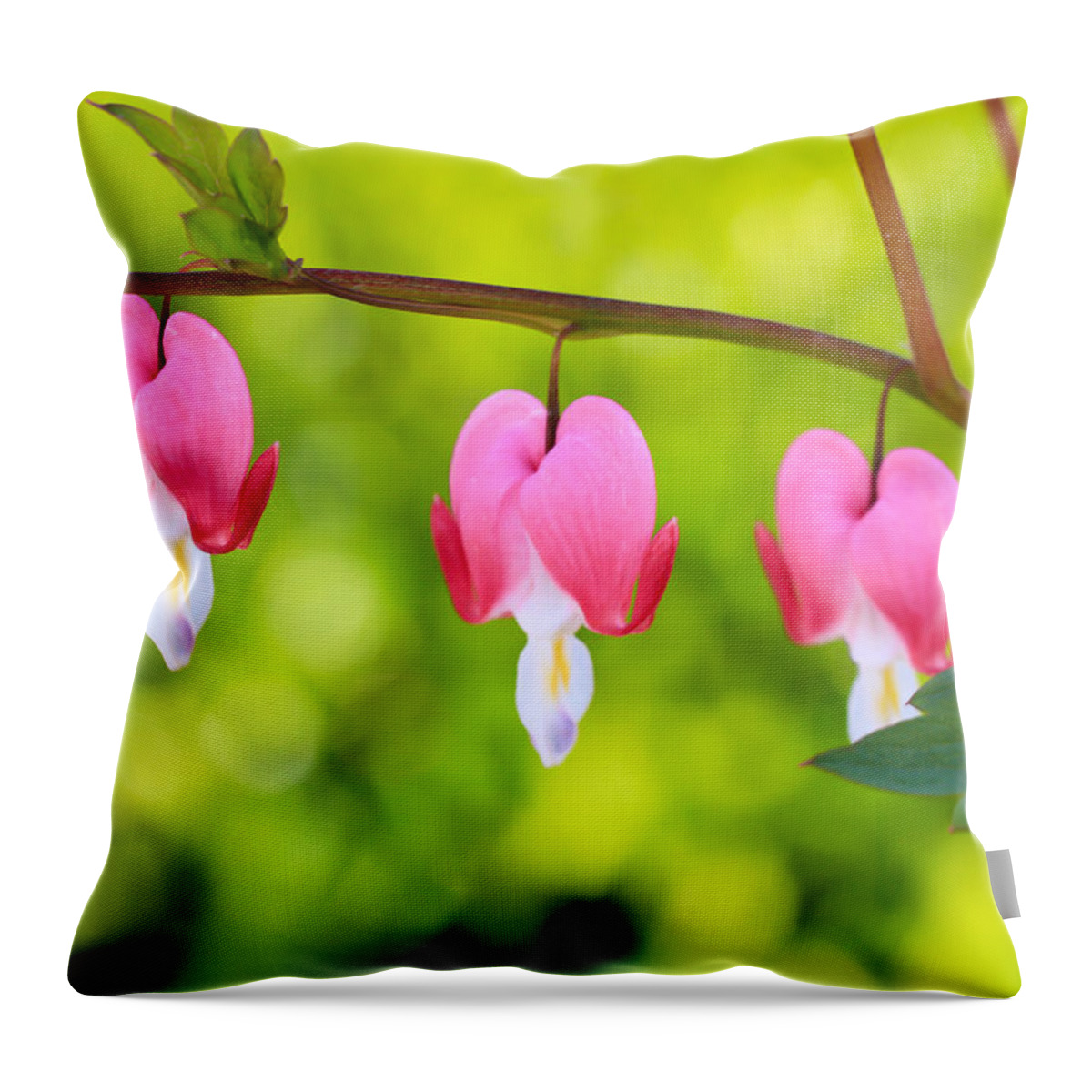 Flowers Throw Pillow featuring the photograph Love by Heidi Smith