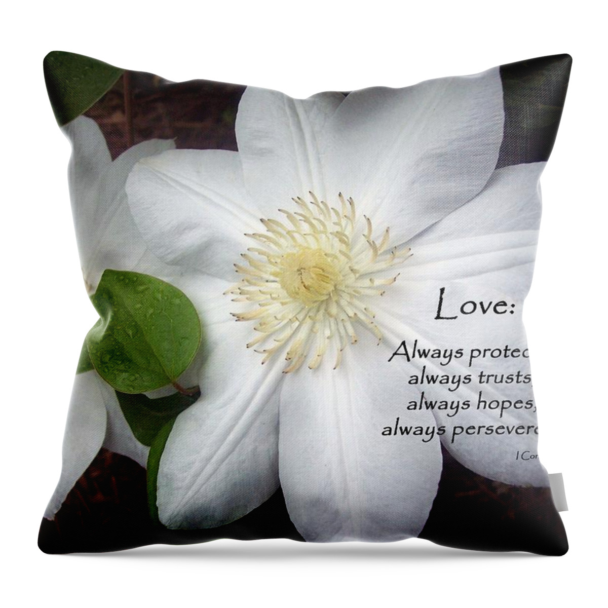 Scripture Throw Pillow featuring the photograph Love by Sandra Clark
