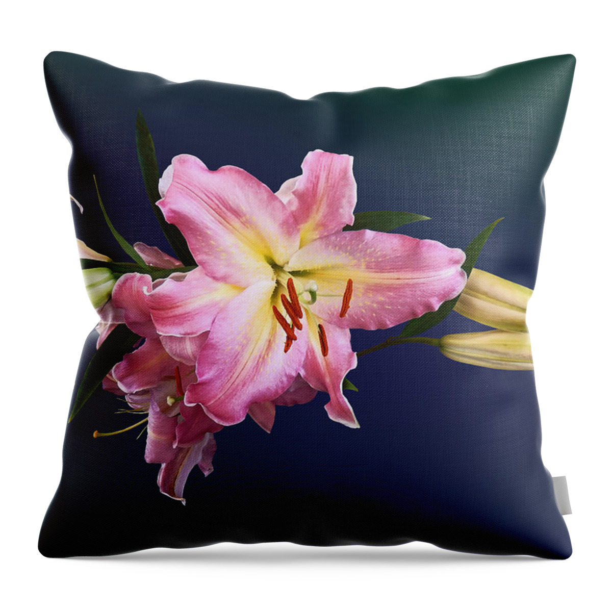  Lily Throw Pillow featuring the photograph Lovely Pink Lilies by Susan Savad