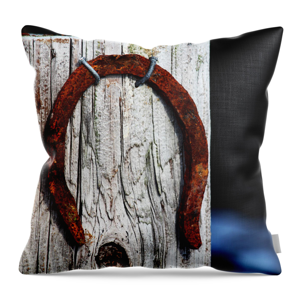 Apacheco Throw Pillow featuring the photograph Lucky by Andrew Pacheco