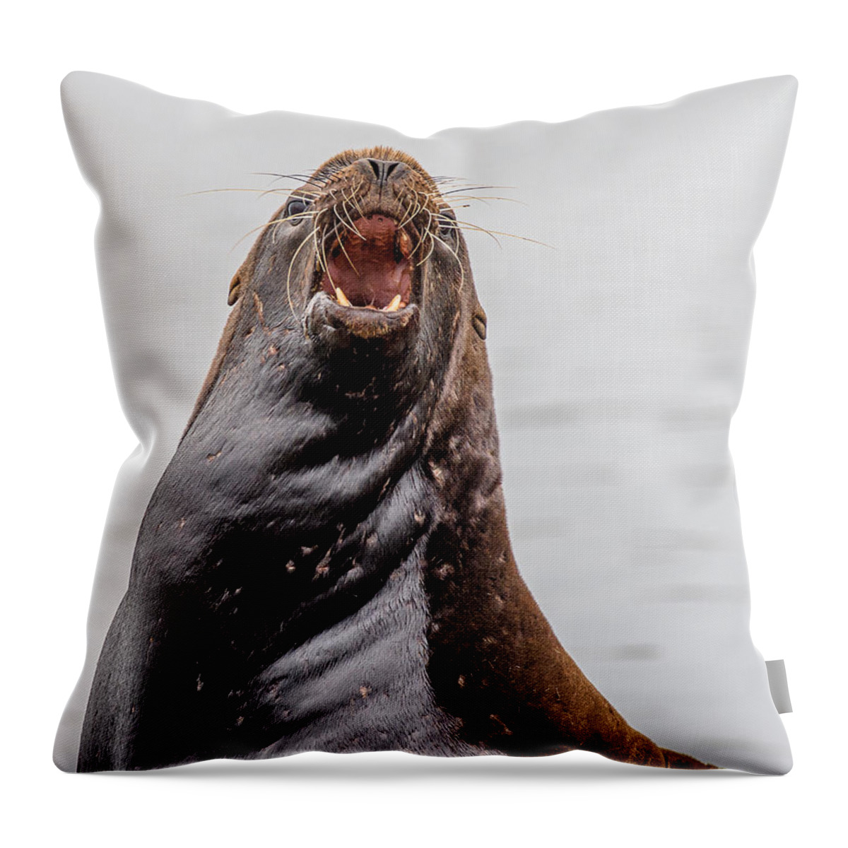 Sea Lion Throw Pillow featuring the photograph Mad as Hell by Greg Nyquist