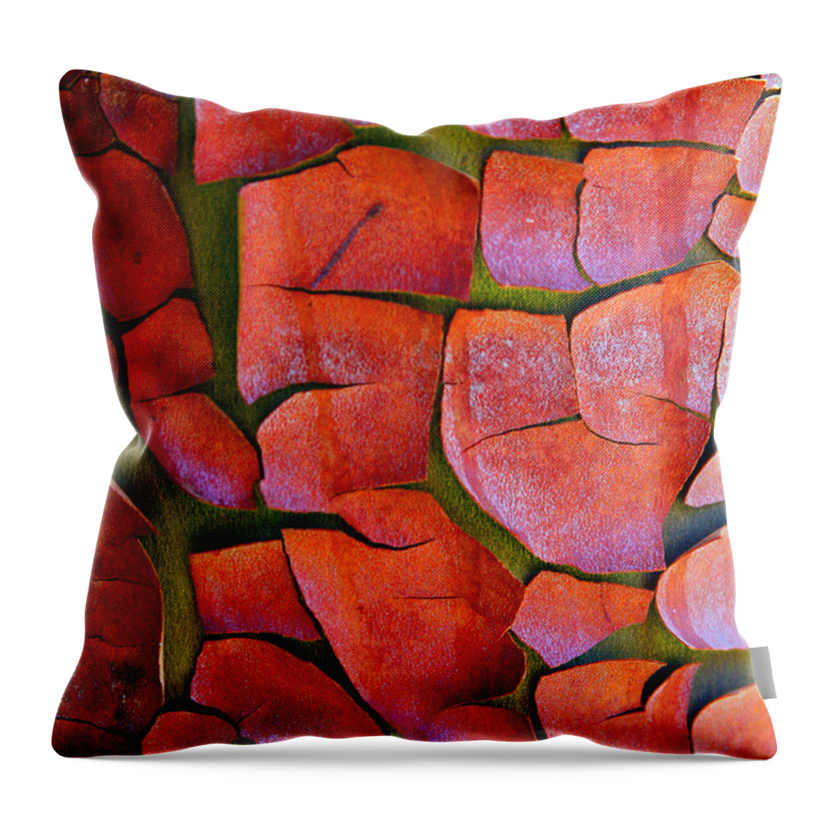 Pacific Madrona Tree Bark Throw Pillow featuring the photograph Madrone by Marie Jamieson