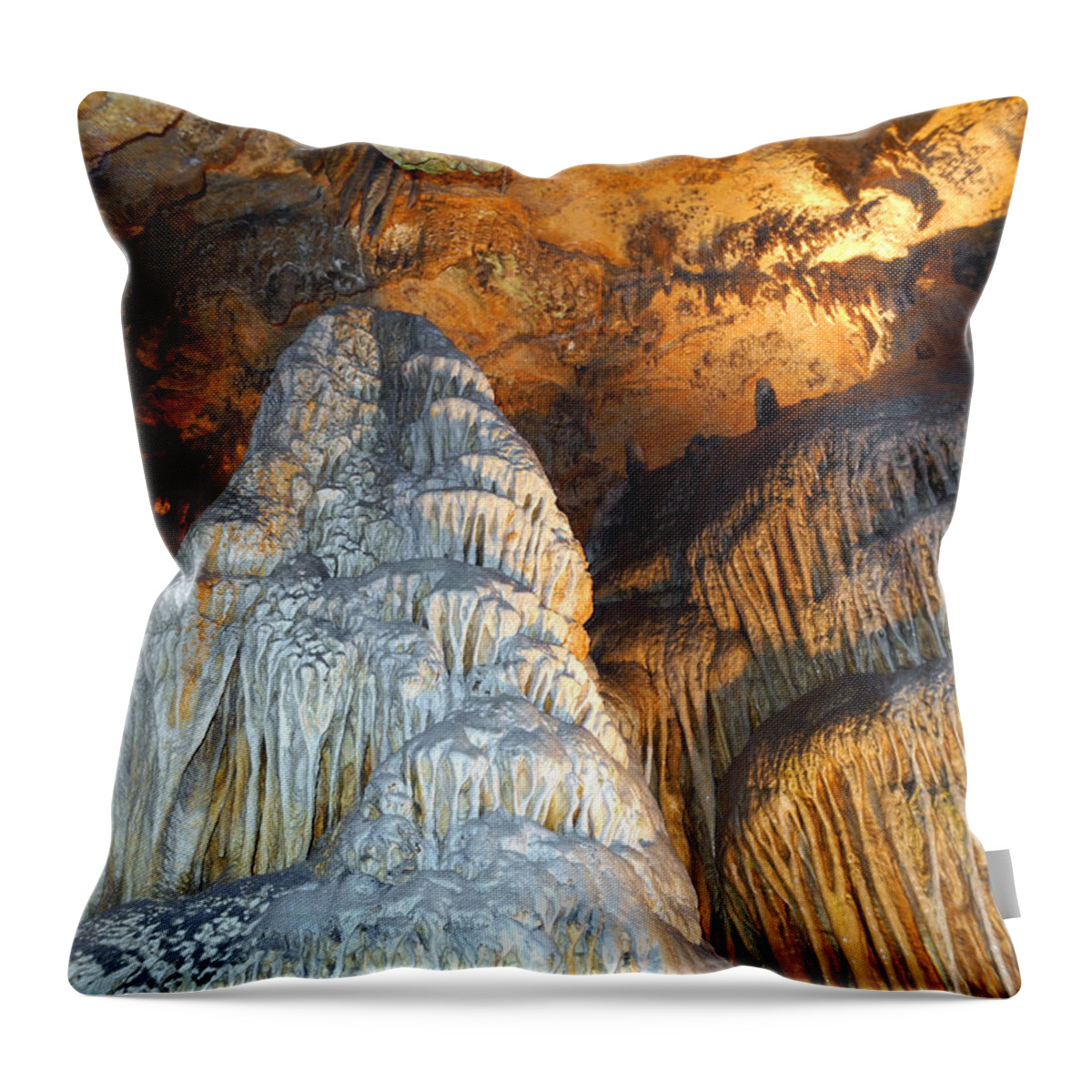 Old Throw Pillow featuring the photograph Magnificence by Lynda Lehmann