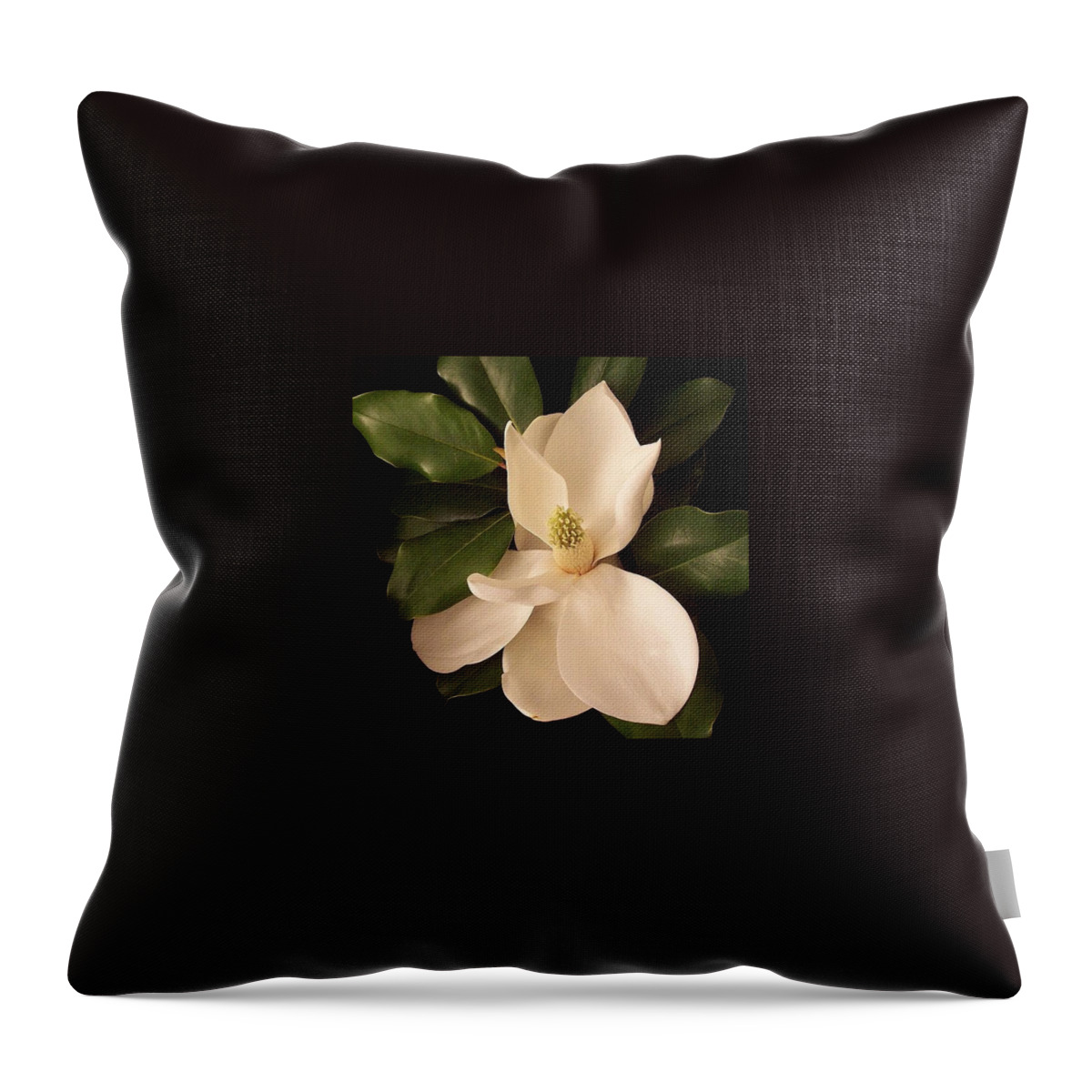  Throw Pillow featuring the photograph Magnolia by Darice Machel McGuire