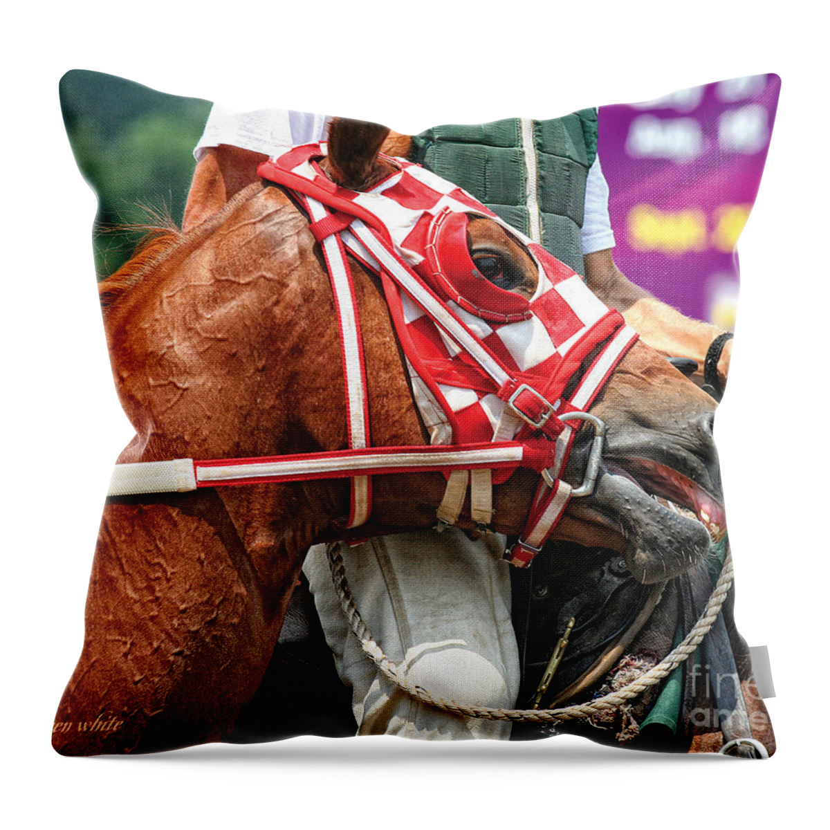 Thoroughbred Throw Pillow featuring the photograph Maiden Race by Karen White