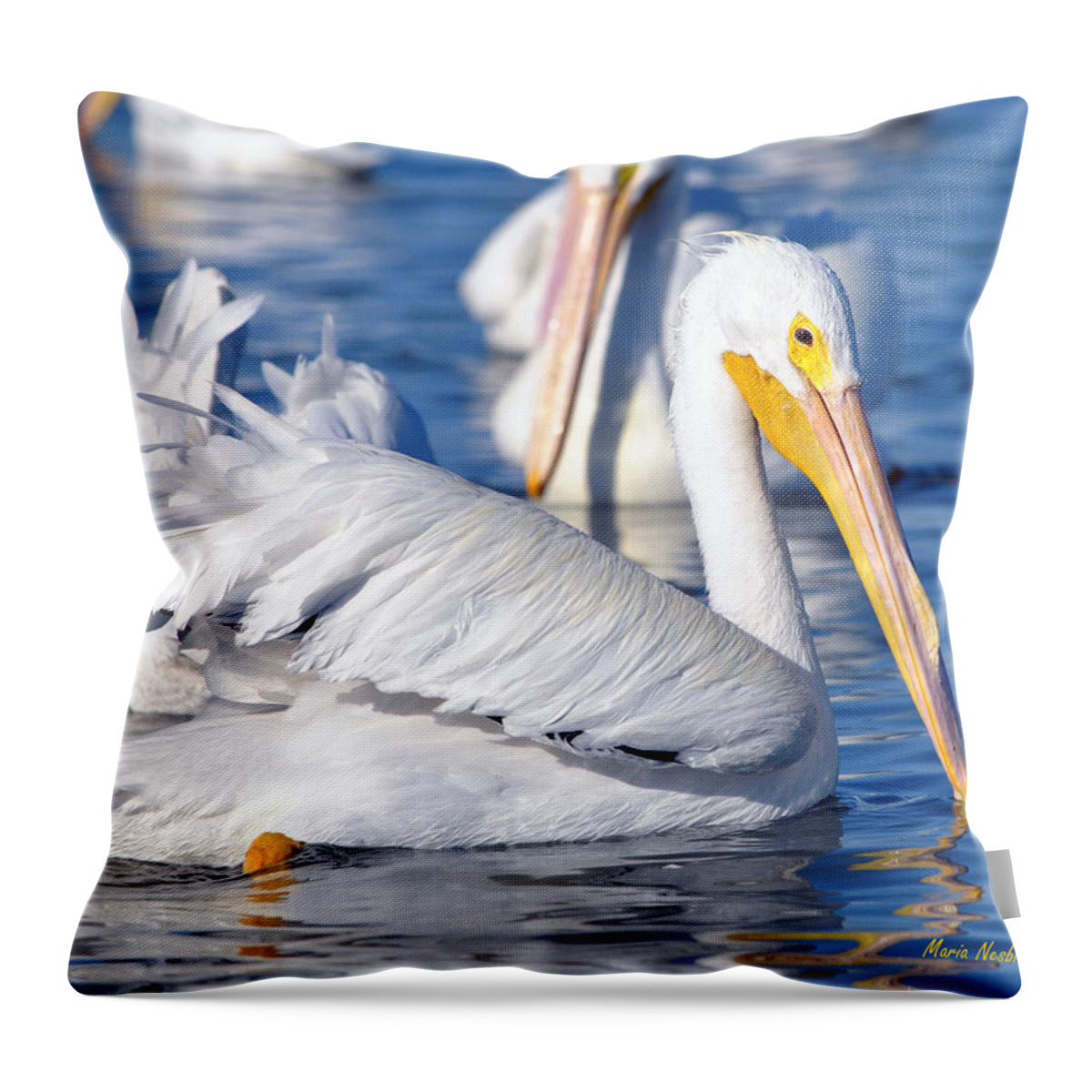 White Pelicans Throw Pillow featuring the photograph Majestic by Maria Nesbit