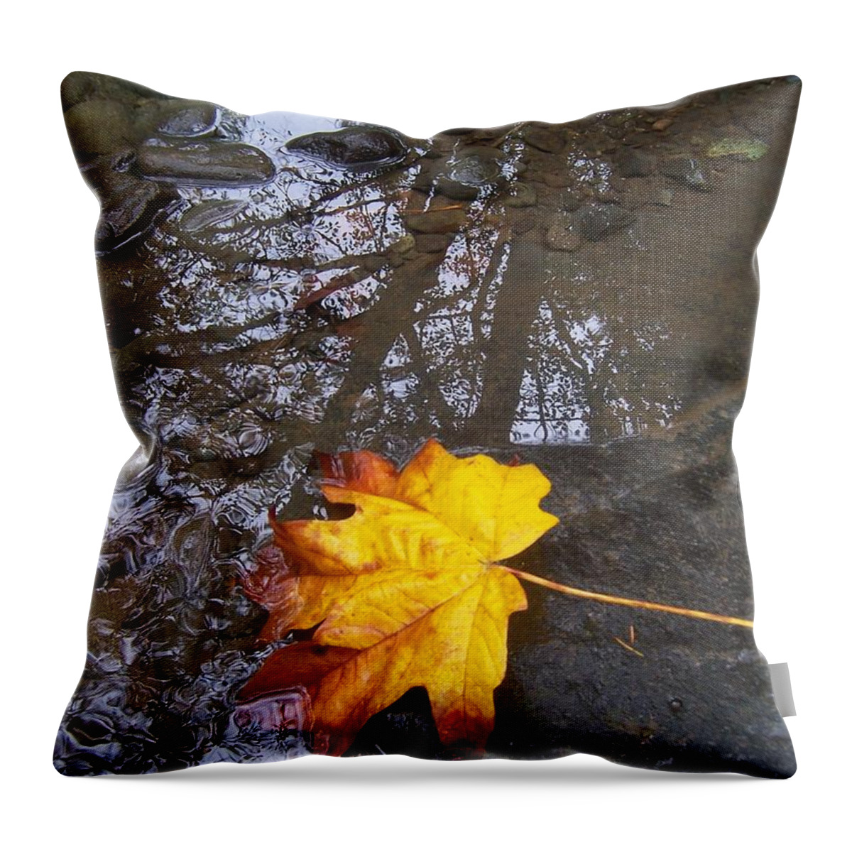 Maple Leaf Throw Pillow featuring the photograph Maple Leaf Reflection 1 by Peter Mooyman